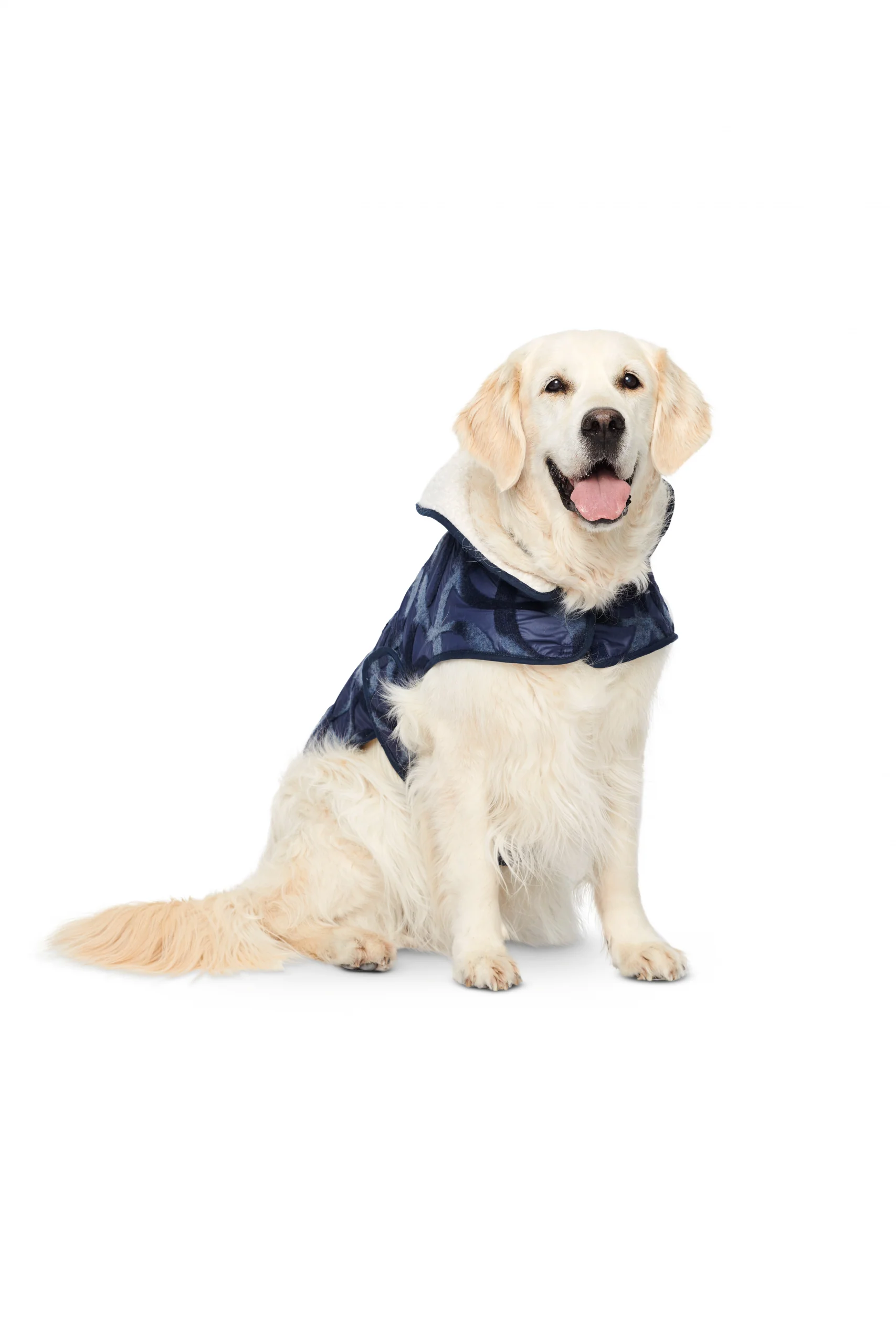 Burda Dog Coats 6049 - Image 3