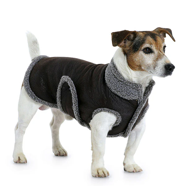 Burda Dog Coats 7752 - Image 3