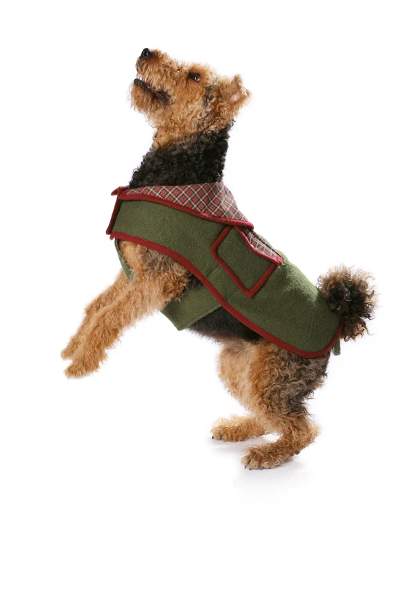 Burda Dog Coats 7752 - Image 5