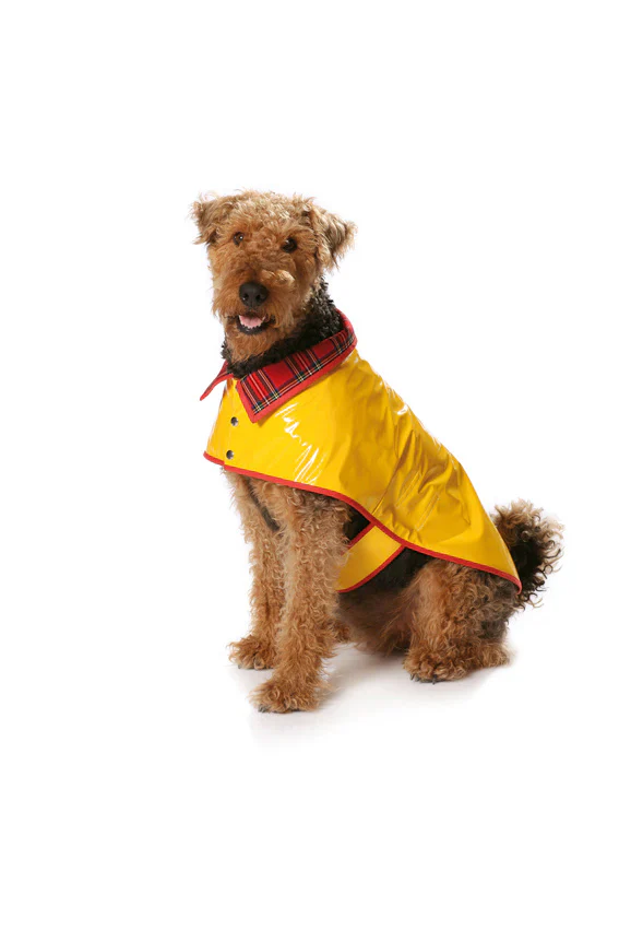 Burda Dog Coats 7752 - Image 6