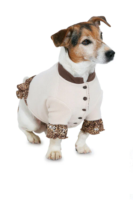 Burda Dog Coats 7752 - Image 7