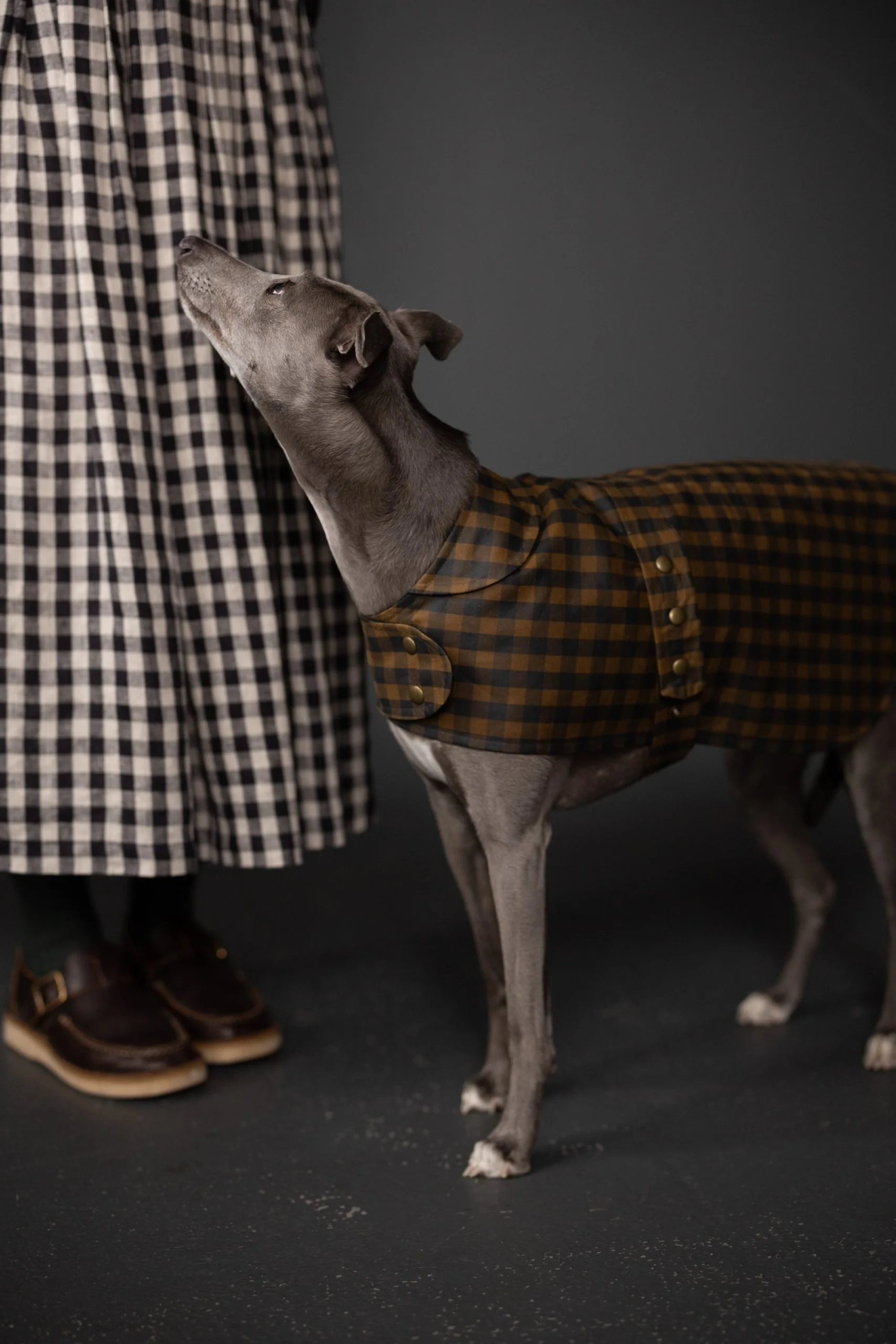 Merchant & Mills Barka Dog Coat