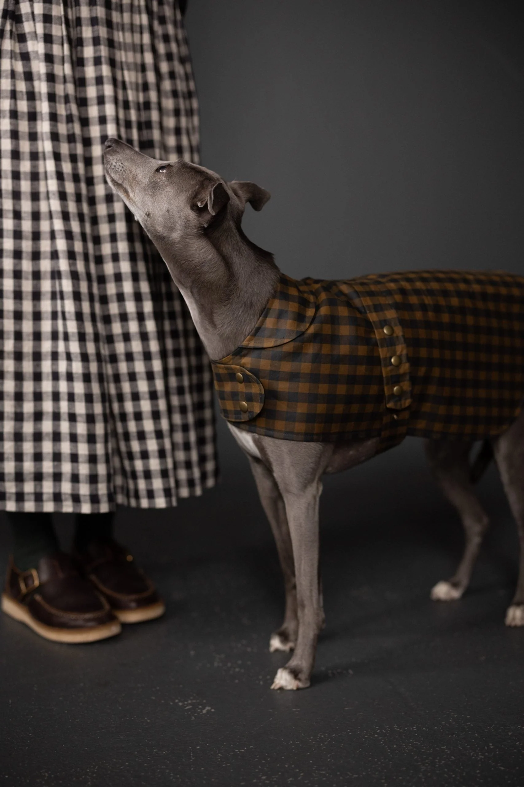 Merchant & Mills Barka Dog Coat - Printed copy shop (+£5.00)