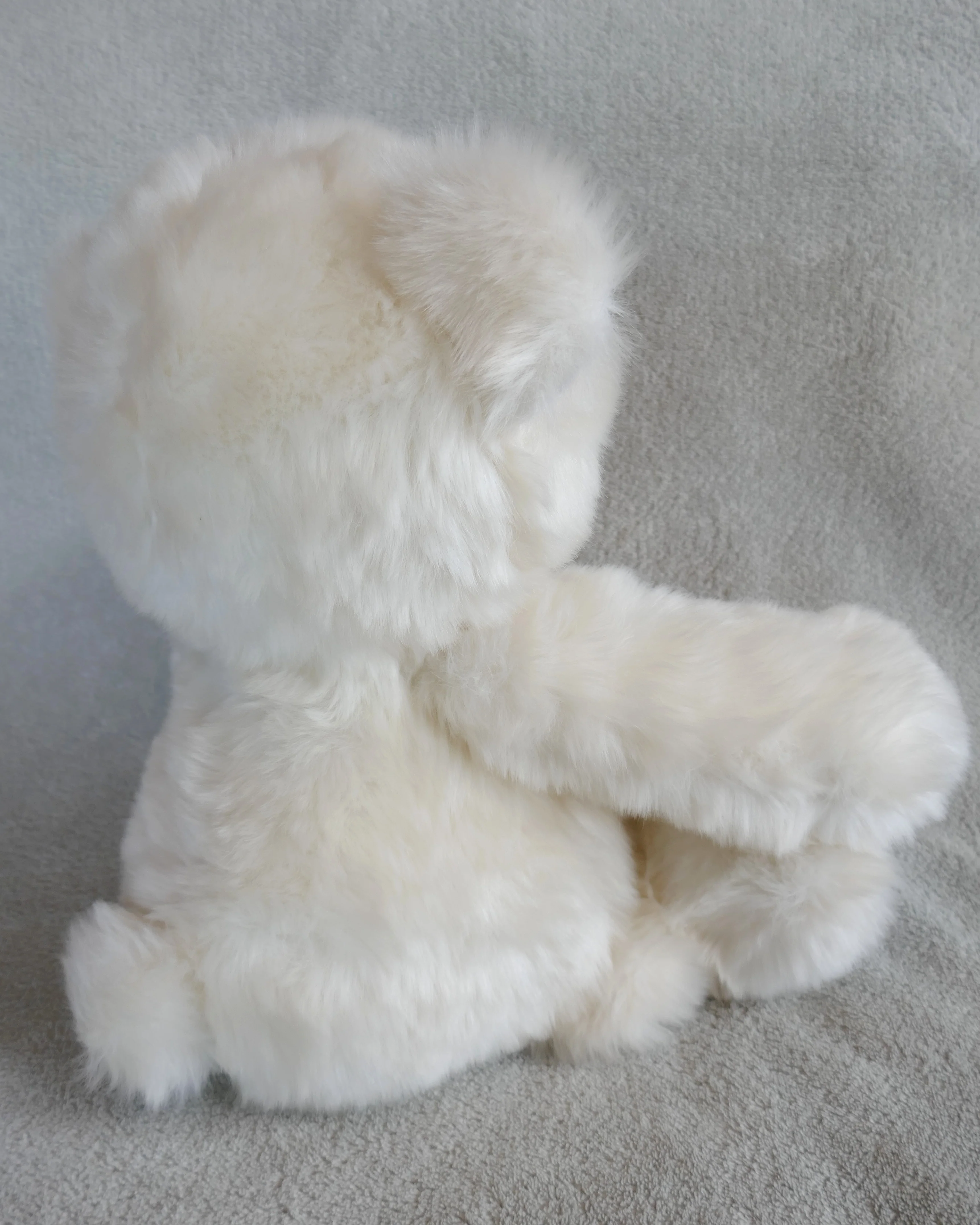 Petits D'om Teddy Bear - Image 5