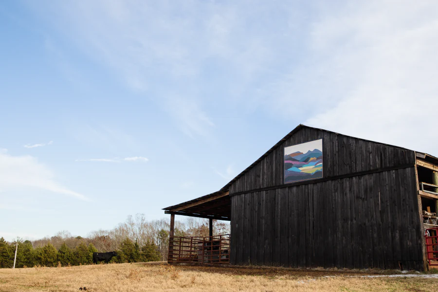 Quiltfolk Issue 14 (South Carolina) - Image 11