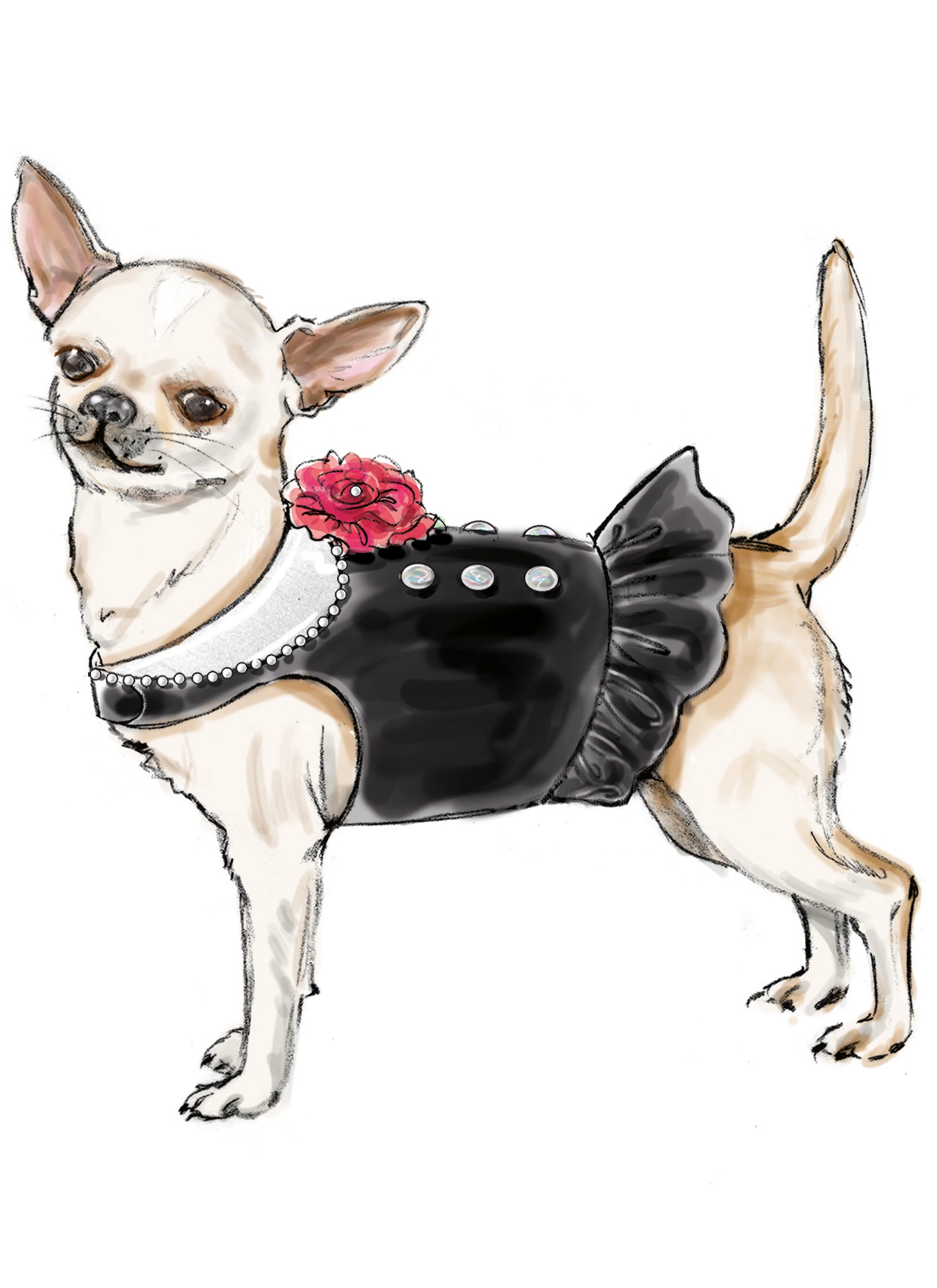 Simplicity Dog Coats S9970 - Image 3