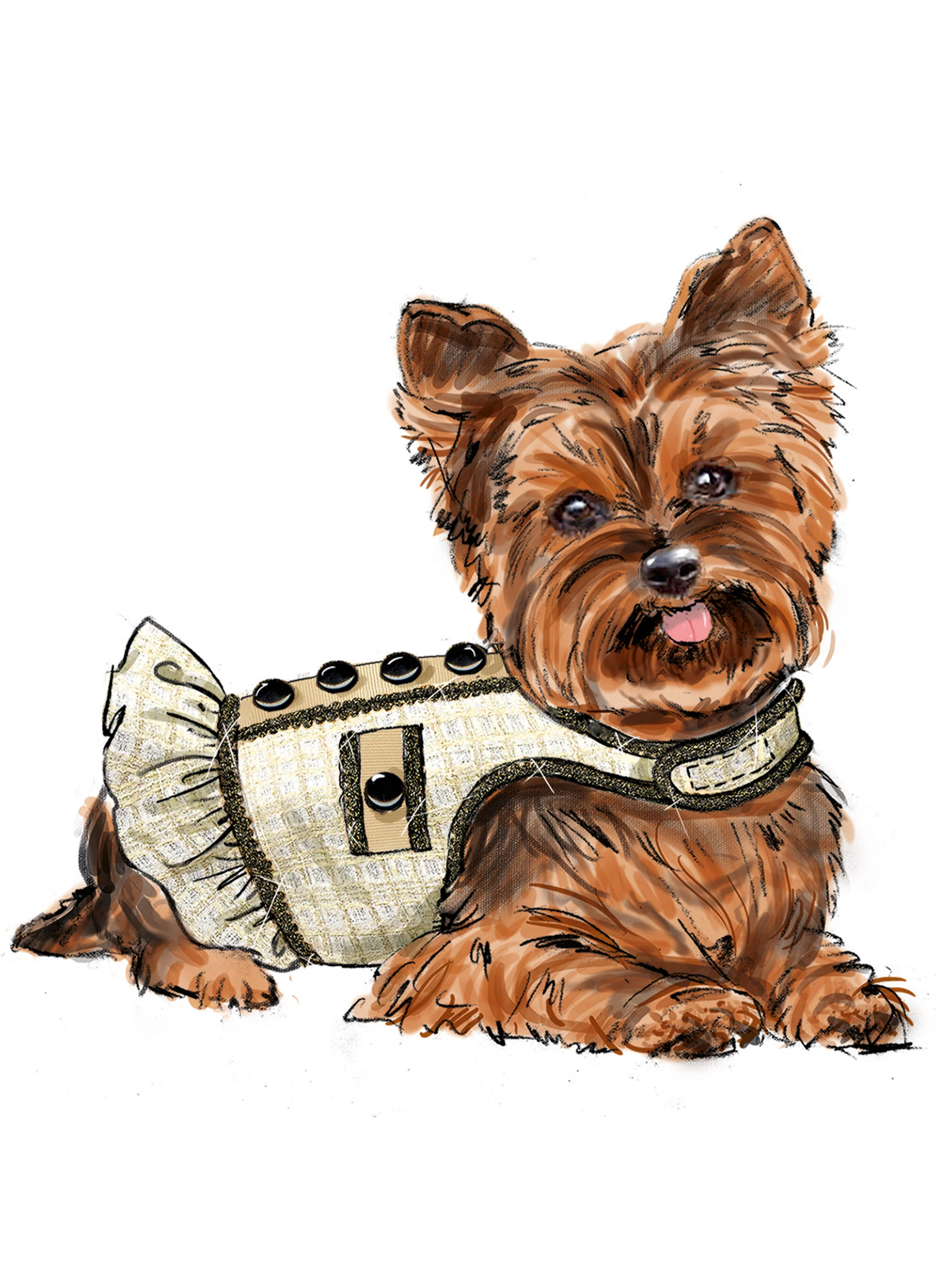 Simplicity Dog Coats S9970 - Image 4